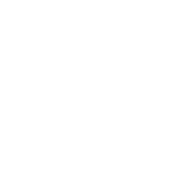 Monochrome Light Theme